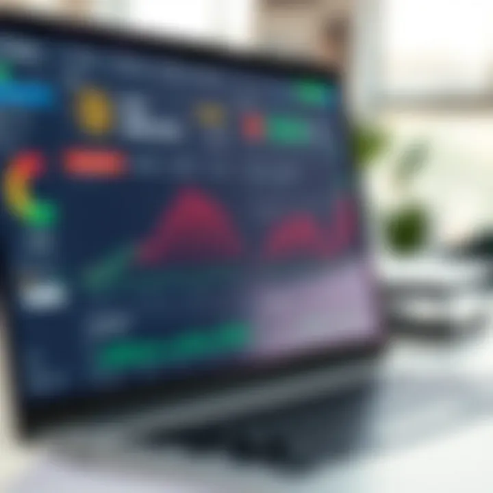 User Interface of Leading Crypto Tax Services Software interface for crypto tax services