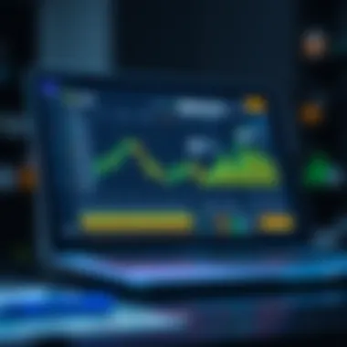 User interface of a leading software wallet