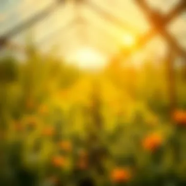 An infographic illustrating yield farming concepts.