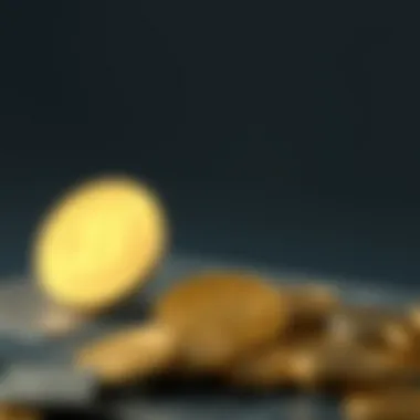 Fungible vs Non-Fungible Assets: Key Differences A comparative illustration of fungible vs non-fungible assets