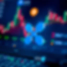 An overview of Ripple's financial performance